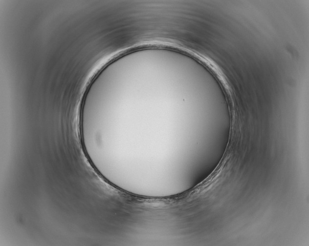 X0000112821199200908210953