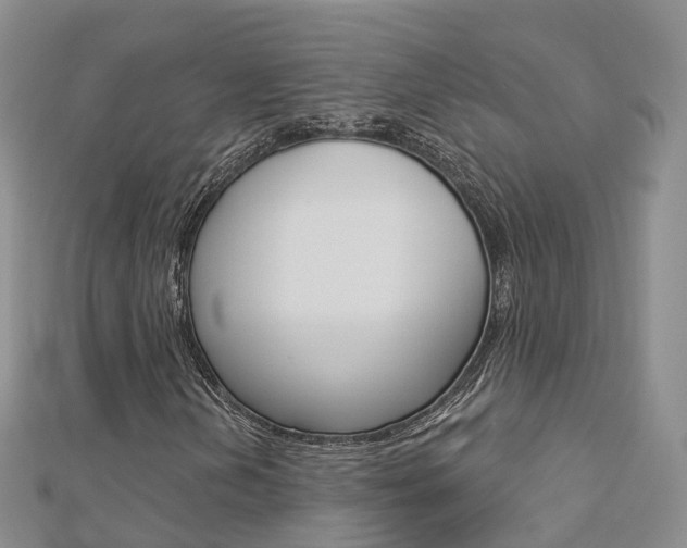 X0000112821202200908210953