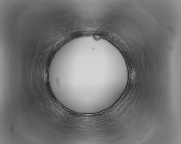 X0000112821204200908210953