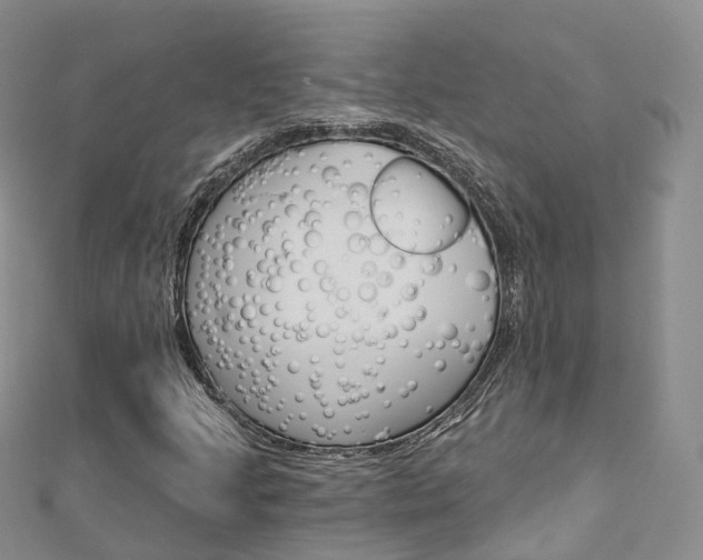 X0000112821205200908210953
