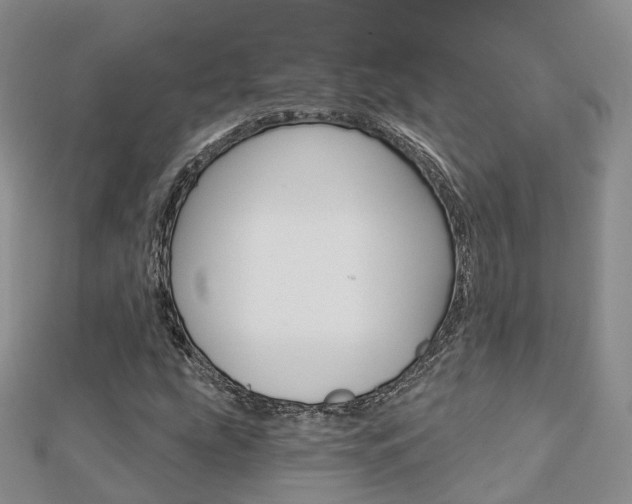 X0000112821207200908210953