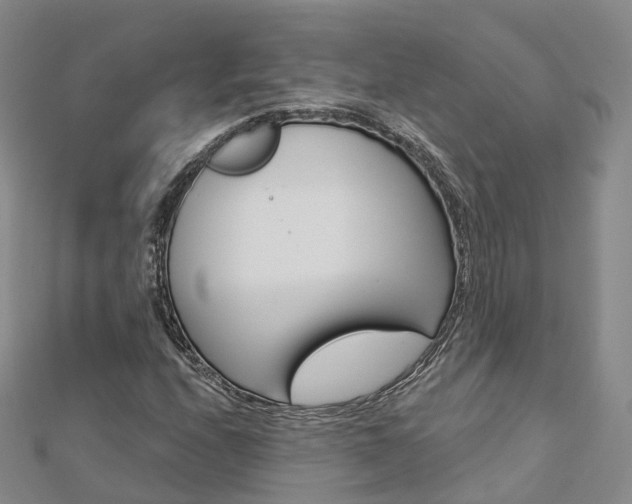 X0000112821208200908210953