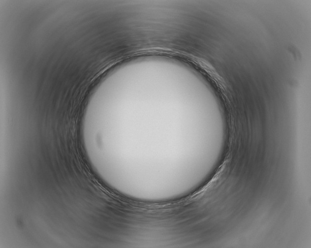 X0000112821209200908210953