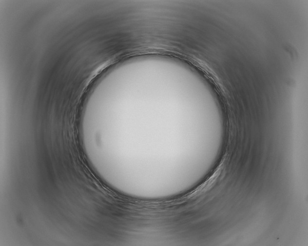X0000112821210200908210953