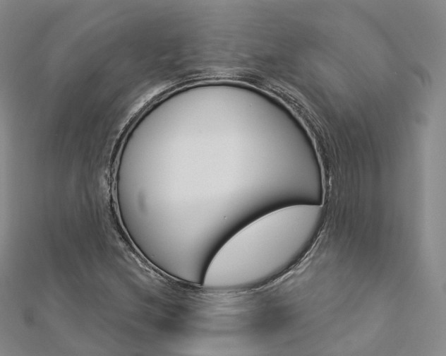 X0000112821212200908210953