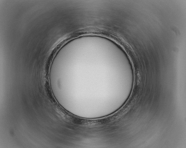 X0000112821213200908210953