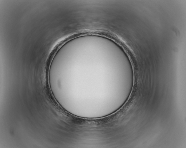 X0000112821214200908210953