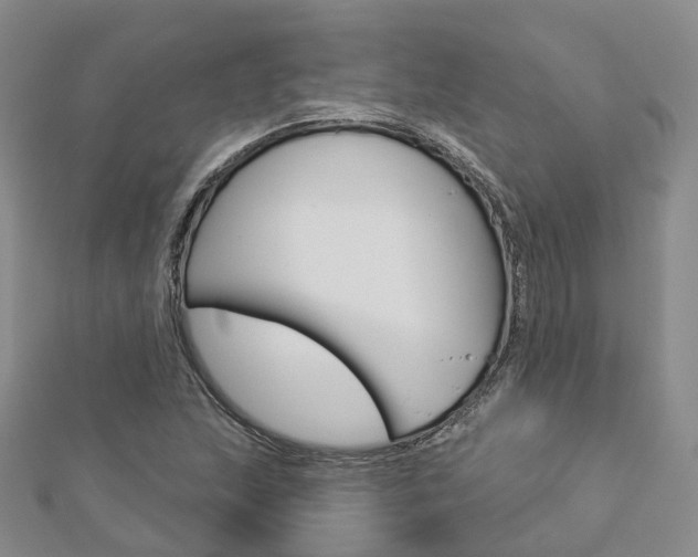 X0000112821215200908210953