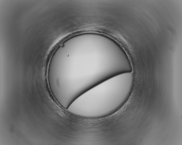 X0000112821216200908210953