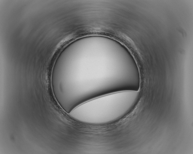 X0000112821218200908210953