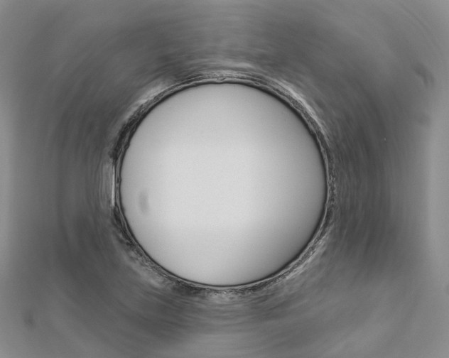 X0000112821219200908210953