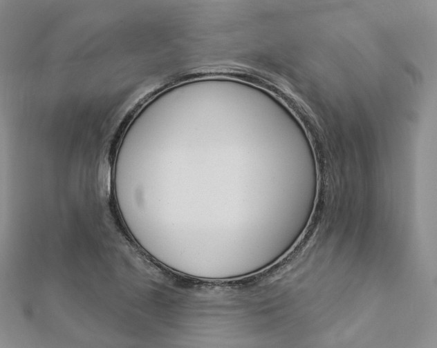 X0000112821221200908210953