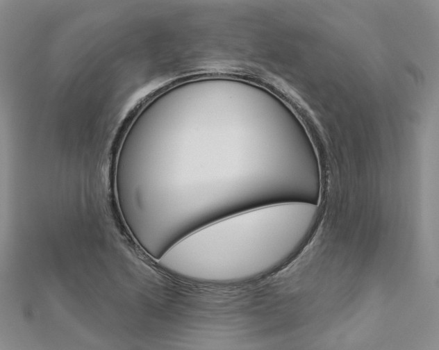 X0000112821222200908210953