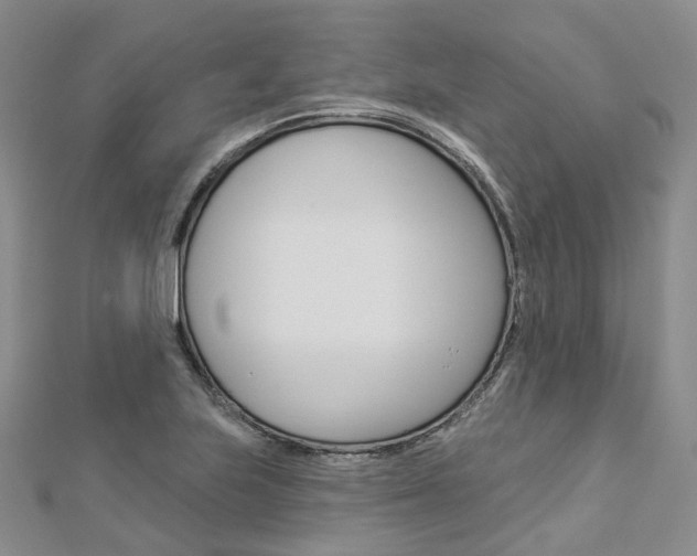 X0000112821223200908210953