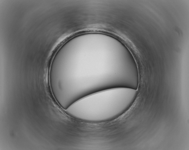 X0000112821224200908210953