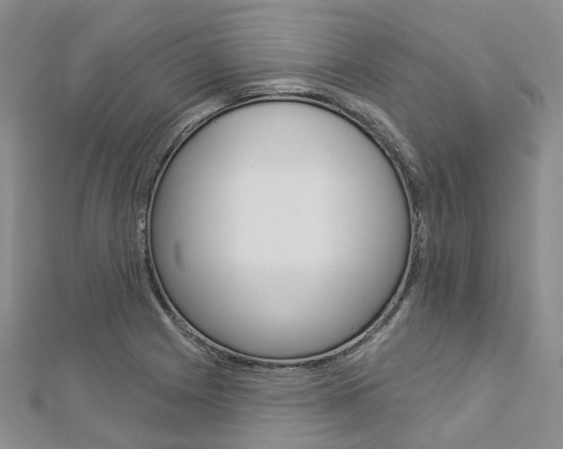 X0000112821225200908210953