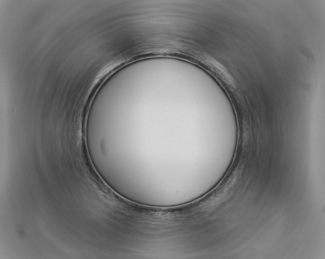 X0000112821226200908210953