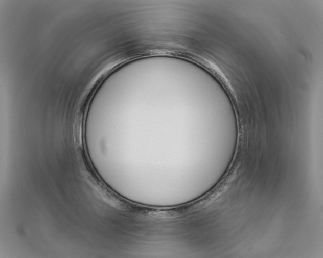 X0000112821227200908210953