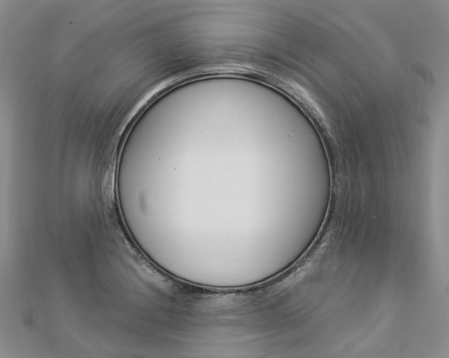 X0000112821228200908210953