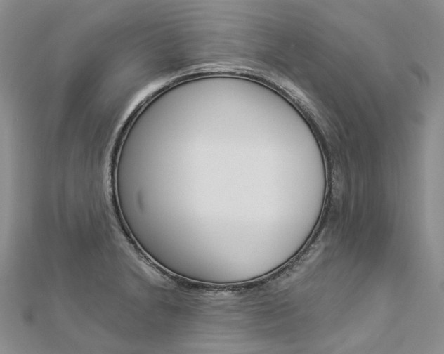 X0000112821230200908210953