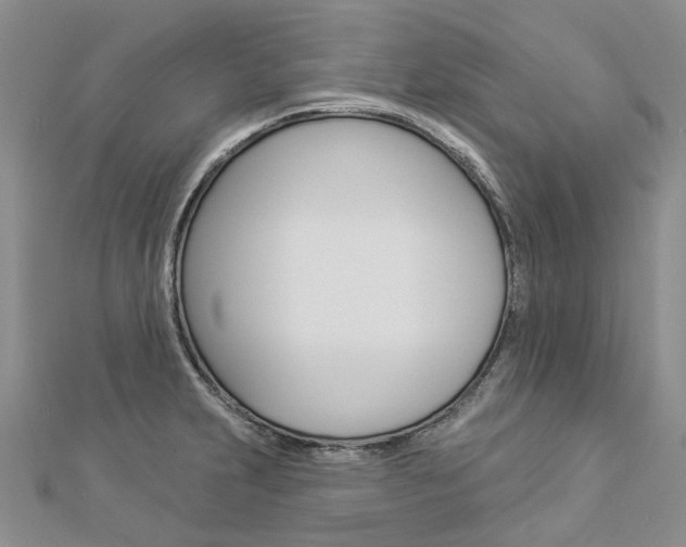X0000112821231200908210953