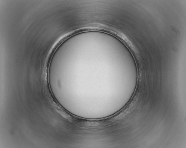 X0000112821232200908210953