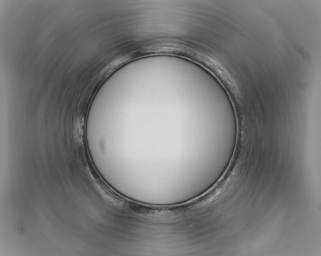 X0000112821233200908210953