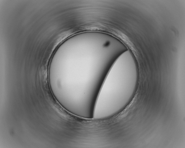 X0000112821234200908210953