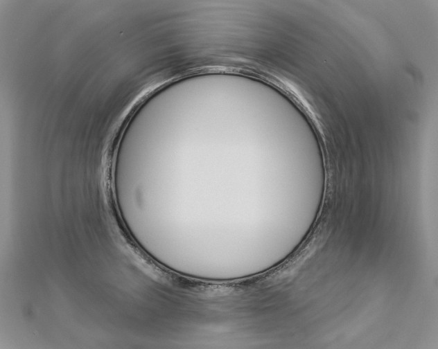 X0000112821235200908210953
