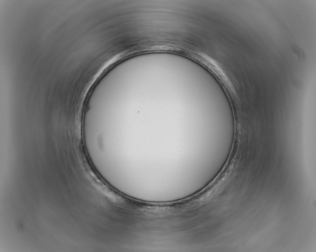 X0000112821236200908210953