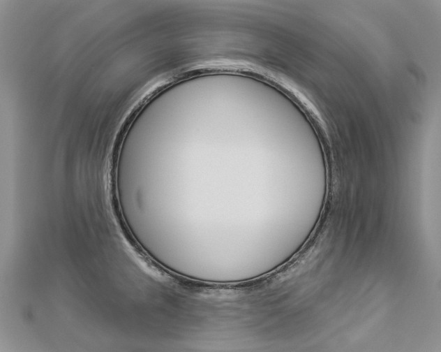 X0000112821237200908210953