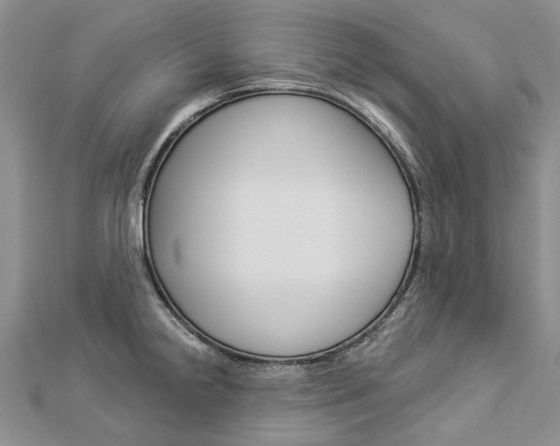 X0000112821238200908210953