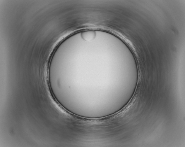 X0000112821239200908210953