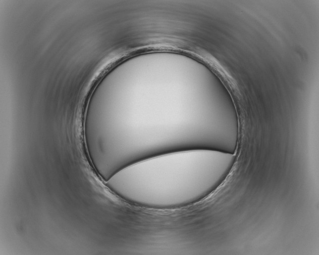 X0000112821240200908210953
