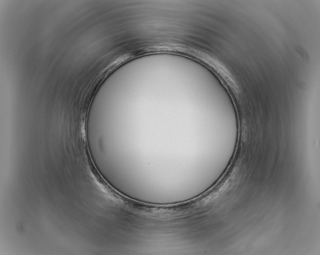 X0000112821241200908210953