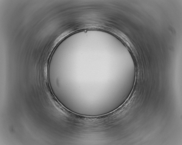 X0000112821242200908210953