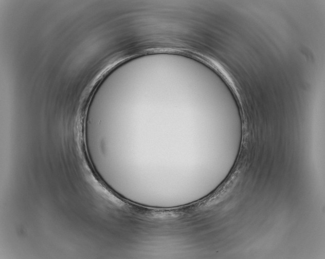 X0000112821243200908210953