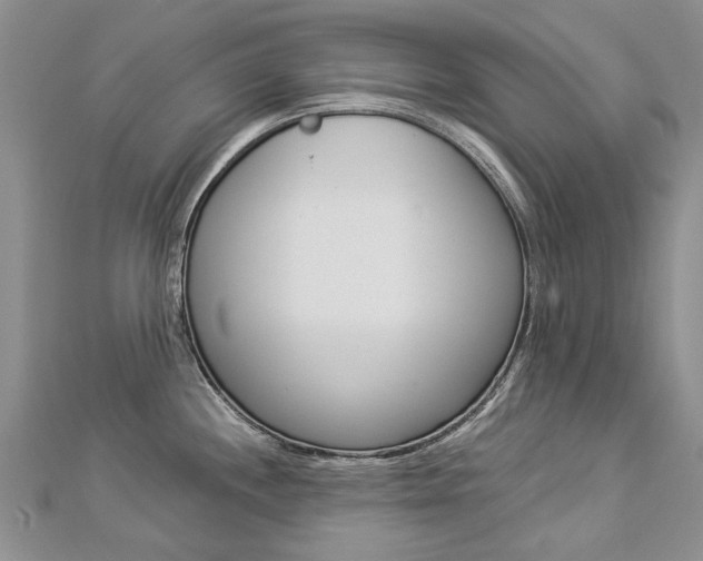X0000112821244200908210953