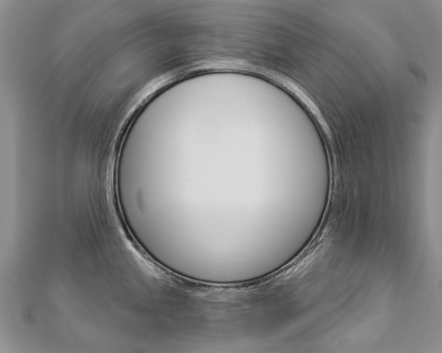 X0000112821245200908210953