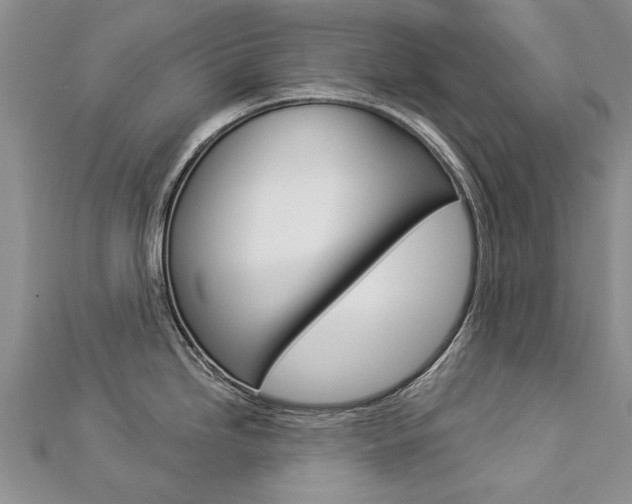 X0000112821246200908210953