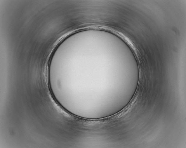 X0000112821247200908210953