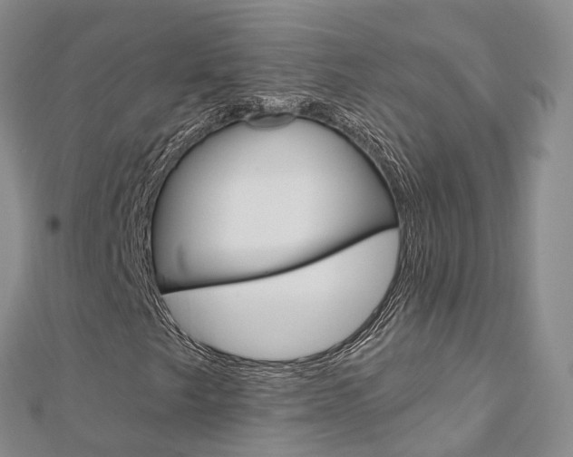 X0000112821249200908210953