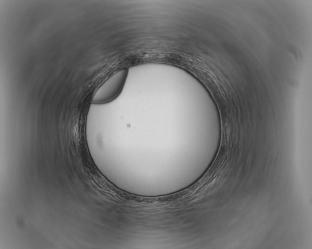 X0000112821250200908210953