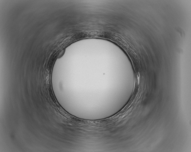 X0000112821251200908210952