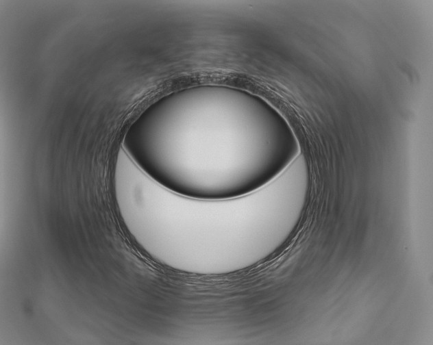 X0000112821252200908210952