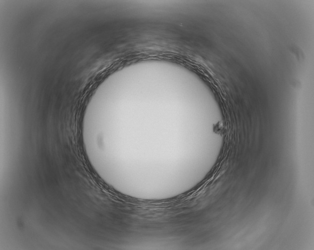 X0000112821253200908210952