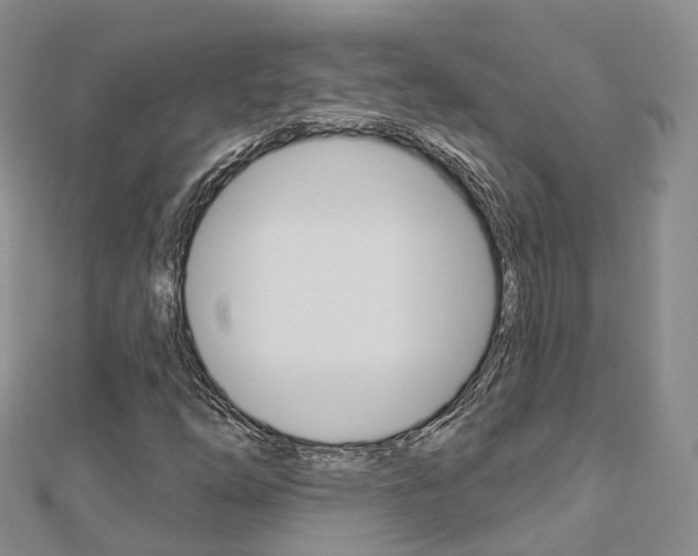 X0000112821254200908210952