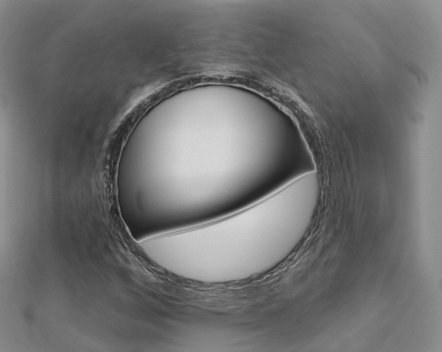 X0000112821256200908210952