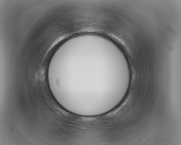 X0000112821258200908210952