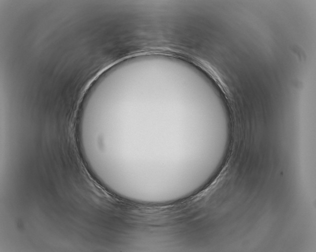 X0000112821260200908210952